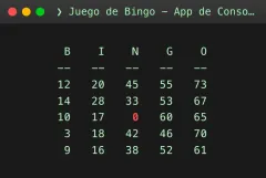 Juego de Bingo - App de Consola — escritorio